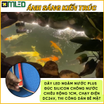 Dây led ngâm nước Plus