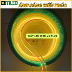 Dây led ngâm nước ip68 vs plus