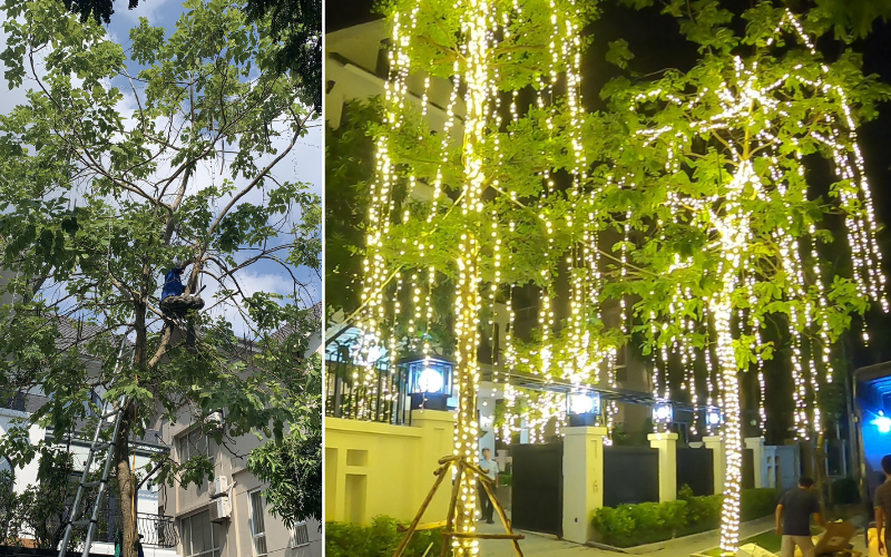 Thi Công Quấn Cây Phủ Tán Theo Phong Cách Cây Thông Noel 4 Doi ngu ky thuat vien quan cay giau kinh nghiem