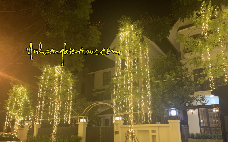 Thi Công Quấn Cây Phủ Tán Theo Phong Cách Cây Thông Noel 1 Quan cay phu tan cay thong noel