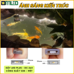 So sánh dây led ngâm nước với dây led thường