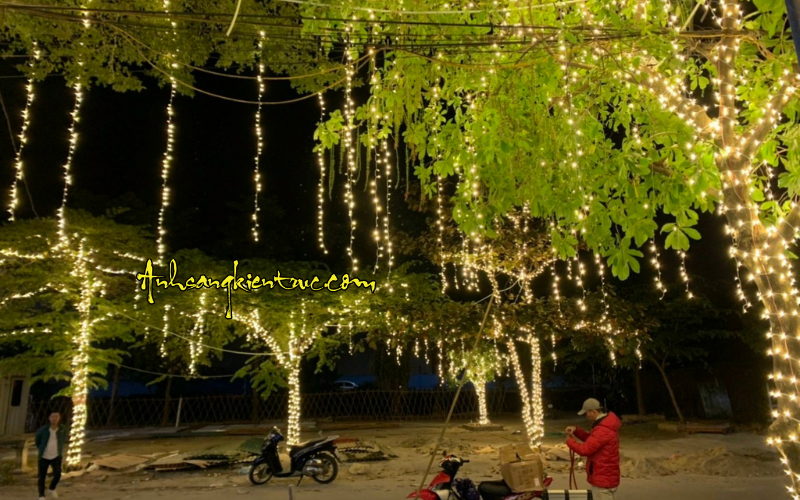 day led cuon cay