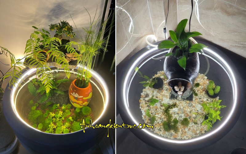 day led ngam nuoc plus lap be thuy sinh