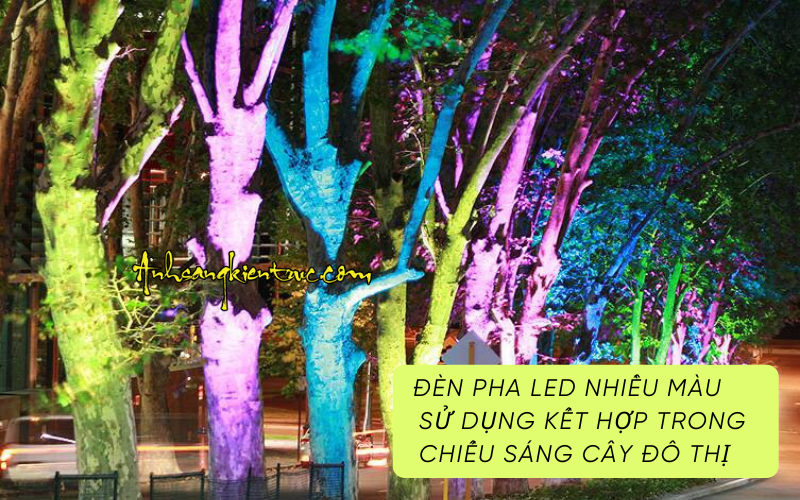 Pha nhieu mau ket hop chieu cay