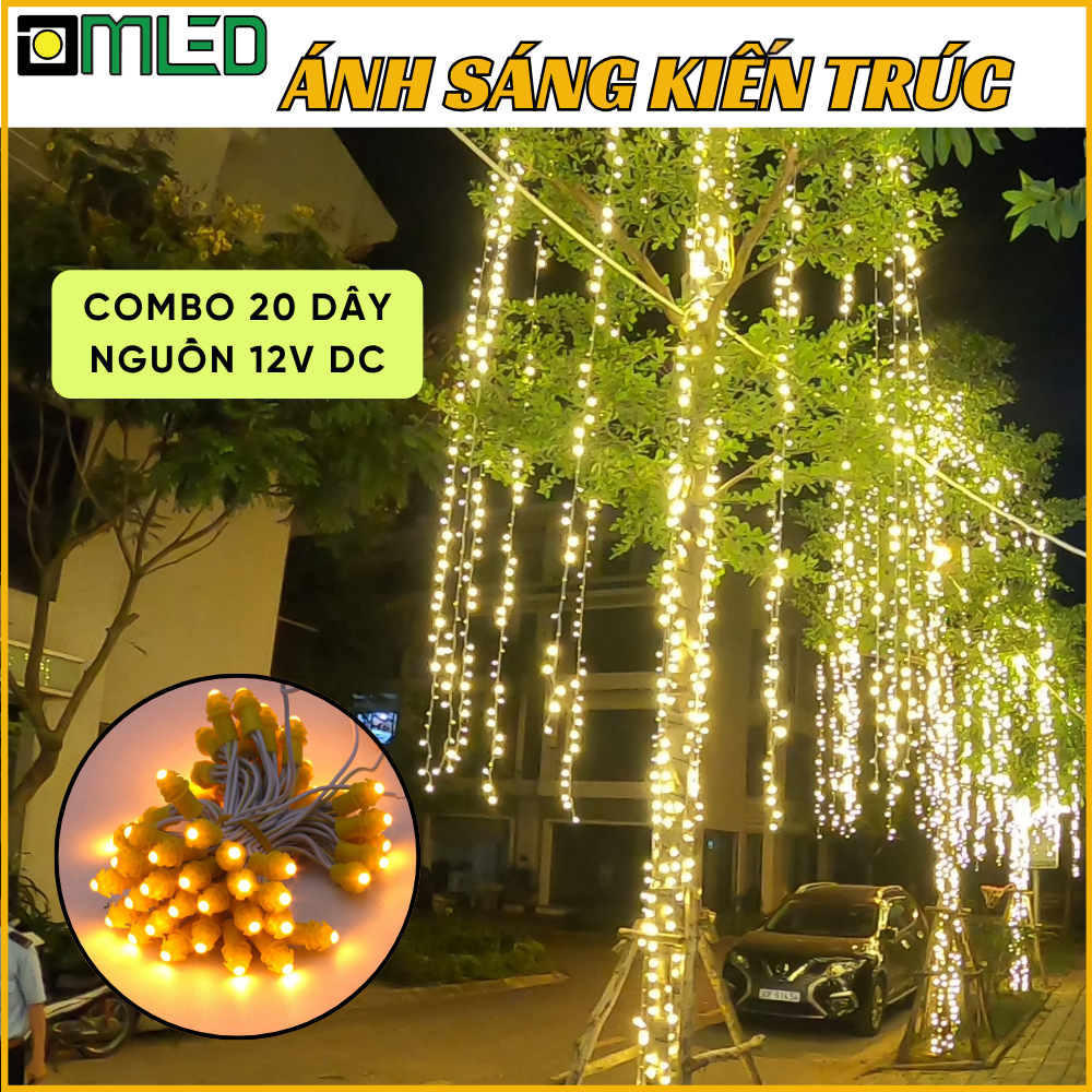 20 day led duc quan cay