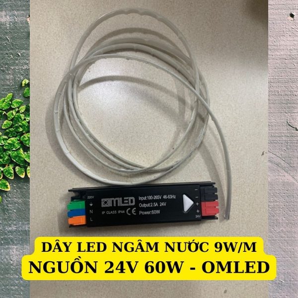 Dây Led Ngâm Nước IP68 24V - Ánh Sáng Vàng, Trắng, Xanh Lá