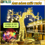 Led quấn cây trang trí tết