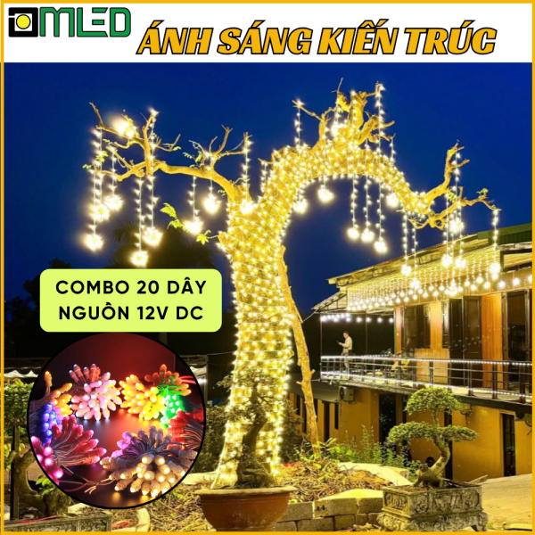 Led quấn cây trang trí tết