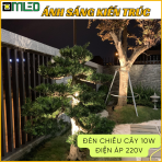 Đèn Chiếu Cây 10W - 220V Ánh Sáng Vàng Trắng - Ảnh 3