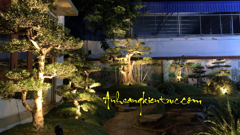 Đèn chiếu tùng la hán