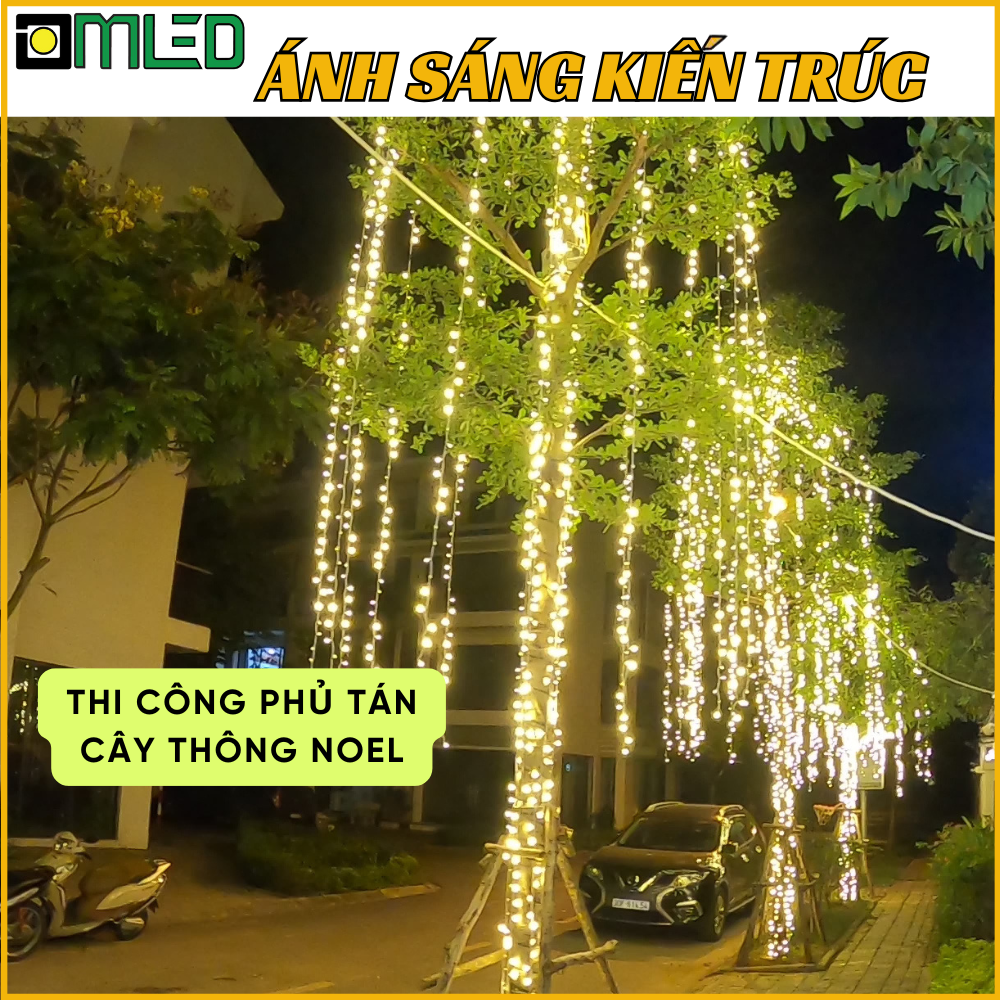Thi cong phu tan cay thong noel