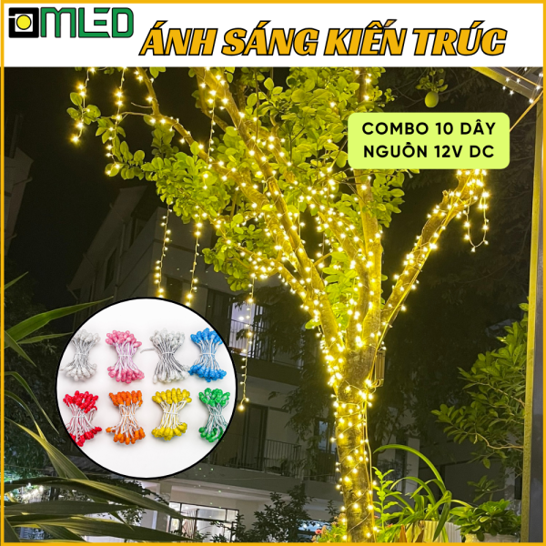 Đèn Led Quấn Cây Ngoài Trời - 10 Dây Led (30 Mét) Kèm Nguồn 12V
