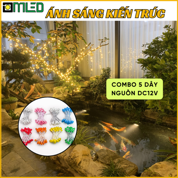 Đèn Led Quấn Cây Ngoài Trời - 5 Dây Led (15 Mét) Kèm Nguồn 12V