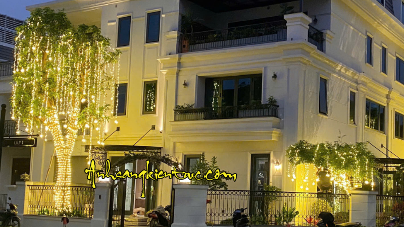 Mẫu quấn cây Noel Tết 2026