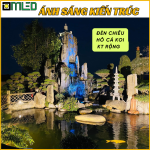 đèn chiếu hồ cá koi cỡ lớn